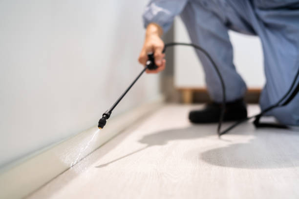 Licensed Termite Control service in Percy, IL - Nex Pest Control