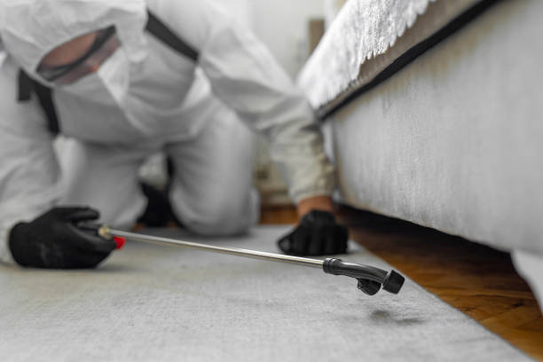Professional Termite Control technician working in Percy, IL
