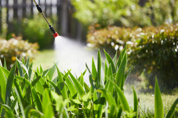 24/7 Emergency Termite Control experts in Percy, IL