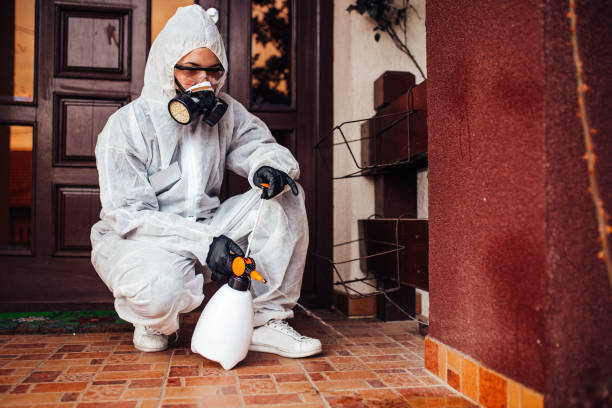 Reliable Termite Control contractor in Percy, IL by Nex Pest Control