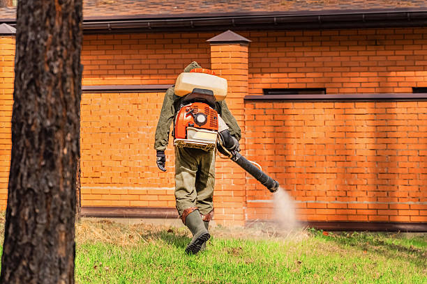 Top rated local Termite Control specialists in Percy, IL